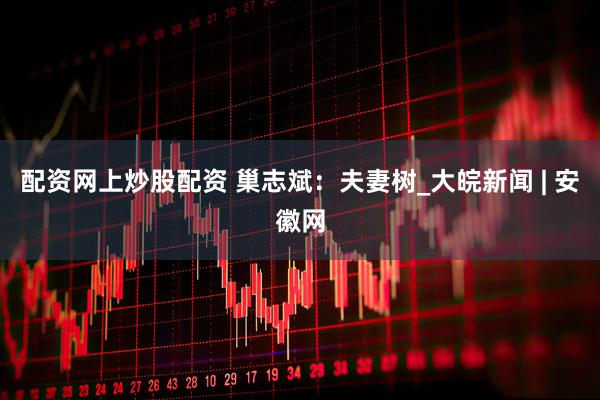 配资网上炒股配资 巢志斌：夫妻树_大皖新闻 | 安徽网